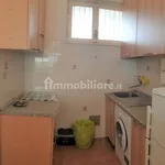 Rent 2 bedroom apartment of 54 m² in Pisa