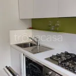 Rent 2 bedroom apartment of 50 m² in Biella