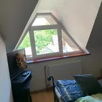 Rent 1 bedroom apartment in Brno venkov