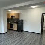 Rent 1 bedroom apartment of 34 m² in Hradec Králové