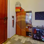 Rent 2 bedroom apartment of 55 m² in Torino