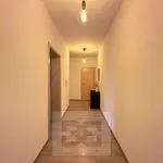 Rent 2 bedroom apartment in Praha 3