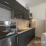 Rent 1 bedroom apartment in Praha 5