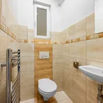 Rent 4 bedroom apartment of 117 m² in Prague