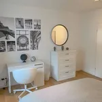 Rent 2 bedroom apartment of 60 m² in Frankfurt