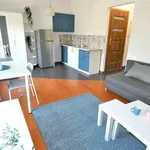 Rent 1 bedroom apartment of 27 m² in Wałbrzych