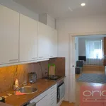 Rent 1 bedroom apartment in Capital City of Prague