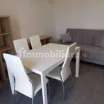 Rent 1 bedroom apartment of 85 m² in Piacenza