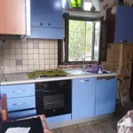 Rent 2 bedroom house of 65 m² in Valderice