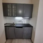 Pronajměte si 2 ložnic/e byt o rozloze 57 m² v Prague