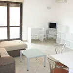 Rent 2 bedroom apartment of 56 m² in Pescara