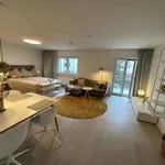 Rent 1 bedroom apartment of 42 m² in munich