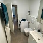 Miete 1 Schlafzimmer wohnung von 55 m² in Dresden