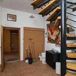 Pronajměte si 1 ložnic/e byt o rozloze 170 m² v Olomouc