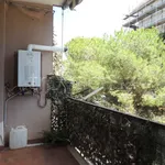 Rent 3 bedroom apartment of 80 m² in Tremestieri Etneo