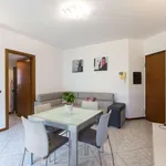 Rent 1 bedroom apartment in milan