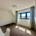 Rent 4 bedroom apartment of 91 m² in budapest