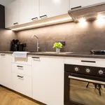 Rent 1 bedroom apartment of 30 m² in Vienna