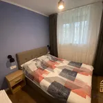 Rent 3 bedroom apartment of 45 m² in Oradea