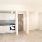 Rent 1 bedroom apartment of 42 m² in Brno