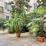 Rent 1 bedroom apartment of 20 m² in Milan