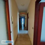 Rent 5 bedroom apartment of 100 m² in Catania