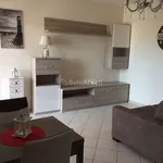 Rent 1 bedroom apartment of 48 m² in Nettuno