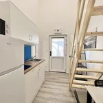 Rent 1 bedroom apartment in Brno