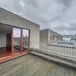 Huur 1 slaapkamer appartement van 265 m² in Antwerpen