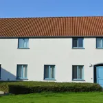 Rent 3 bedroom house of 300 m² in HAMME-MILLE