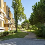 Rent 2 bedroom apartment in Setúbal