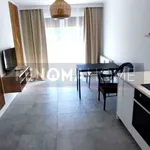 Rent 2 bedroom apartment of 36 m² in Wrocław