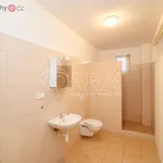 Rent 2 bedroom apartment of 60 m² in Trhový Štěpánov