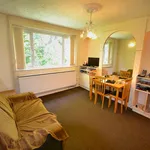 Rent 1 bedroom apartment in Manchester