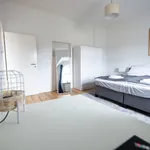 Miete 1 Schlafzimmer wohnung von 55 m² in Duisburg