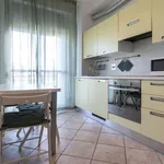 Rent 1 bedroom apartment of 35 m² in bologna