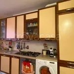 Rent 3 bedroom apartment of 65 m² in Trieste