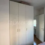 Rent 2 bedroom apartment of 50 m² in Milano