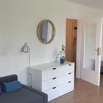 Rent 1 bedroom apartment of 40 m² in Düsseldorf