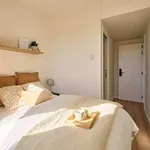 Rent 4 bedroom apartment in Madrid