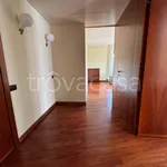 Rent 2 bedroom apartment of 75 m² in Milano