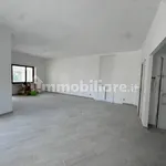 Rent 3 bedroom apartment of 120 m² in Rome