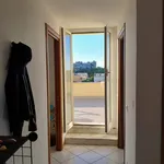 Rent 1 bedroom apartment in Rome