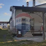 Appartamento in Affitto Sant'Agata de' Goti 32341021-132 | RE/MAX Italia