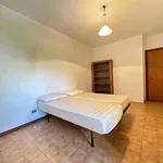 Rent 3 bedroom apartment of 110 m² in Roma