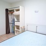 Appartement de 35 m² avec 2 chambre(s) en location à Amélie-les-Bains-Palalda