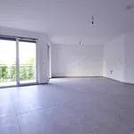 Rent 4 bedroom apartment of 136 m² in Leipzig