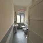 Rent 4 bedroom apartment of 111 m² in Palermo