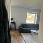 Rent 1 rooms apartment of 30 m² in Gothenburg