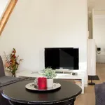 Huur 3 slaapkamer appartement van 55 m² in Haarlem